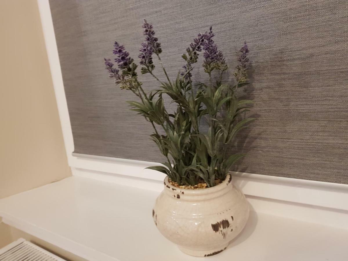 Smart & Cozy Holiday Apartment In The City Centre Inverness Buitenkant foto